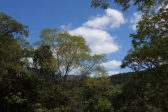 Canastra-11.04.26-18